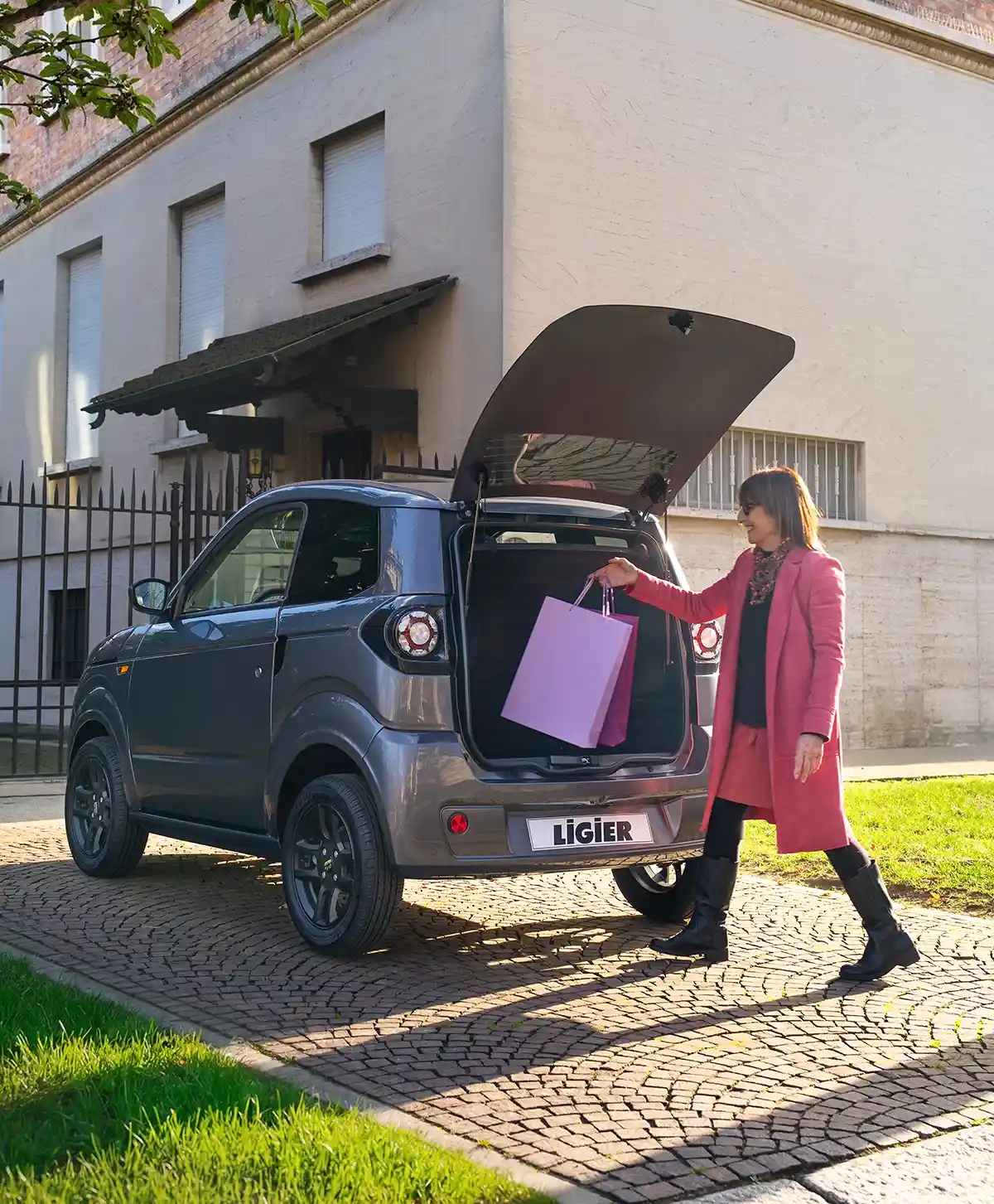 ligier-mylimax-sonderausstattung